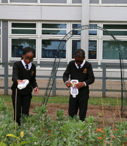 Tesco Supports Lower Academy Allotment Project